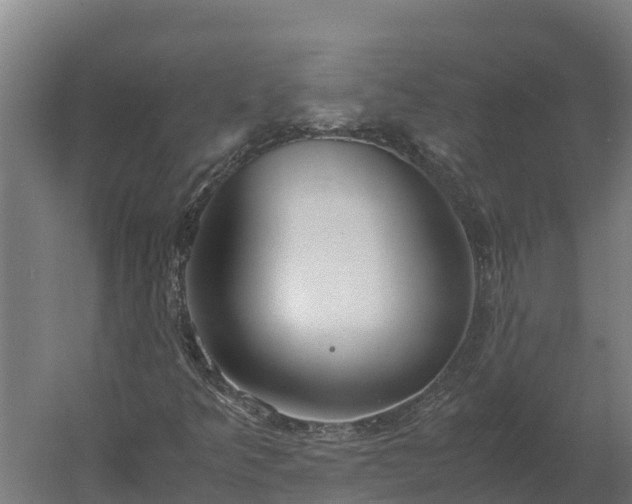 X0000060231349200511041220