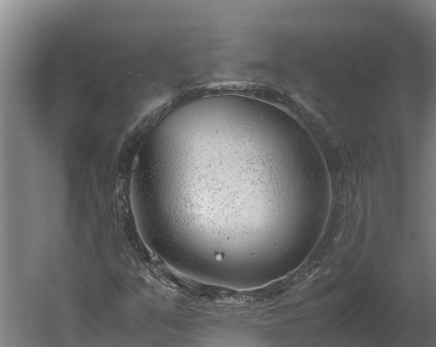 X0000060231351200511041220