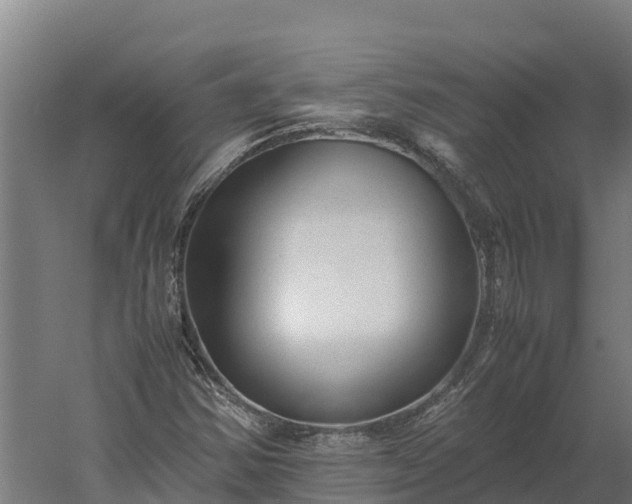 X0000060231354200511041220