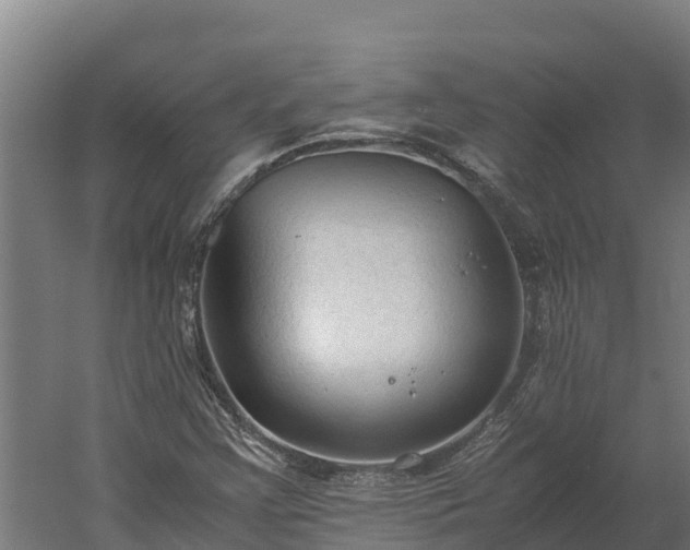 X0000060231355200511041220