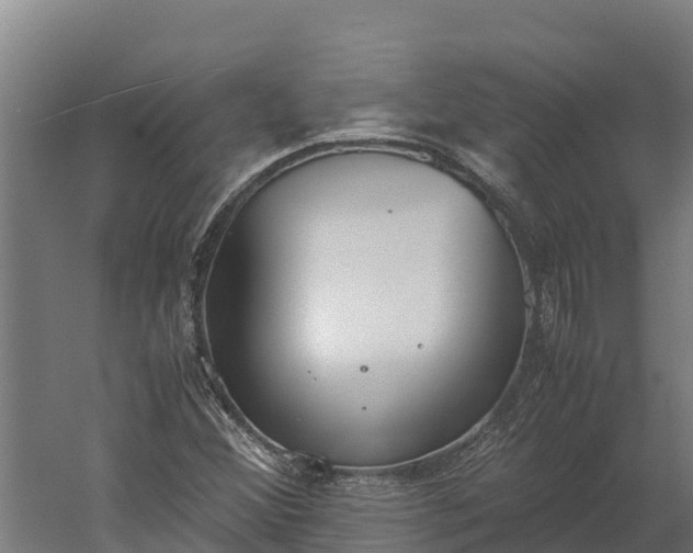 X0000060231356200511041220