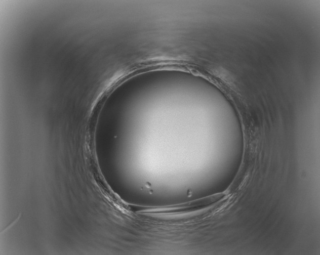 X0000060231357200511041220