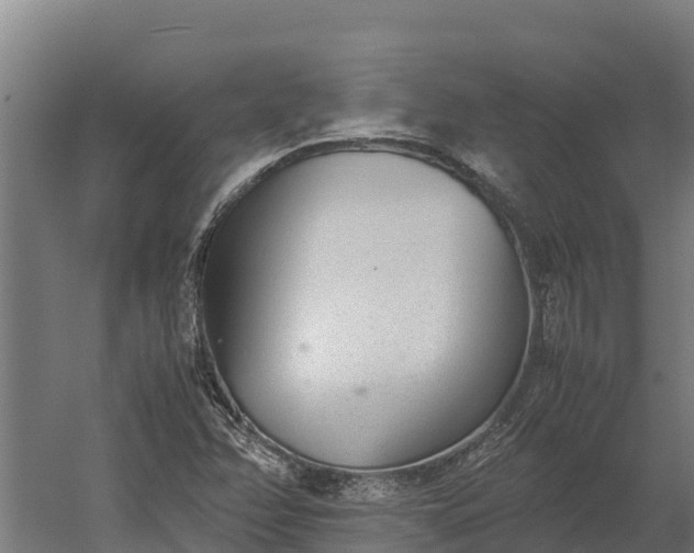 X0000060231358200511041220