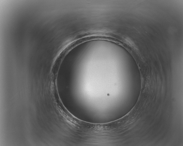 X0000060231360200511041220