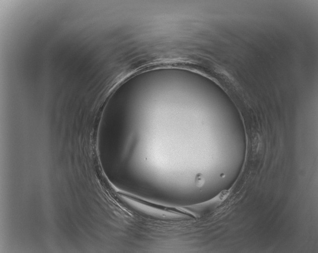 X0000060231361200511041220