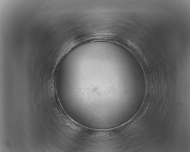 X0000060231362200511041220