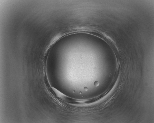 X0000060231365200511041220