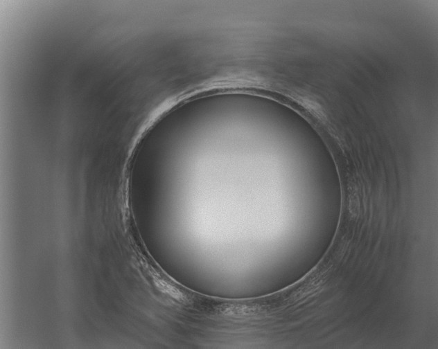 X0000060231366200511041220