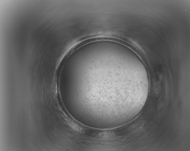 X0000060231368200511041219