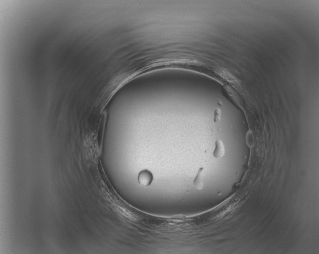 X0000060231369200511041219