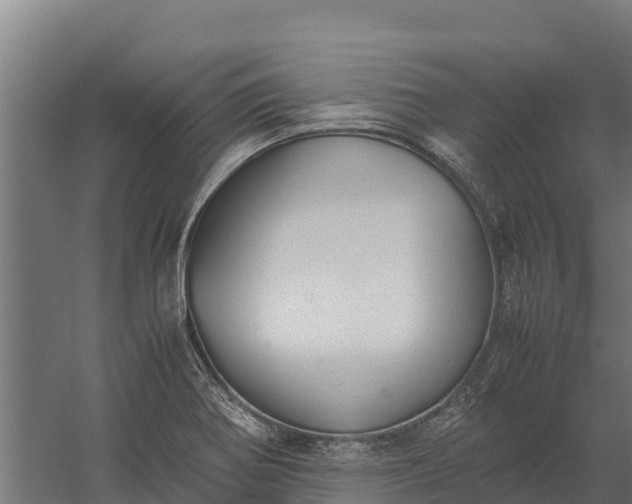 X0000060231370200511041219