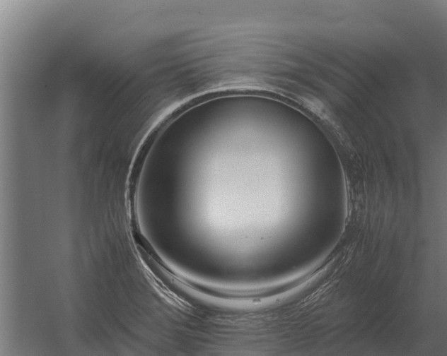 X0000060231372200511041219