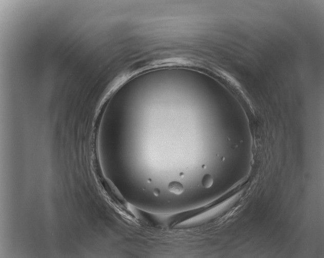 X0000060231373200511041219