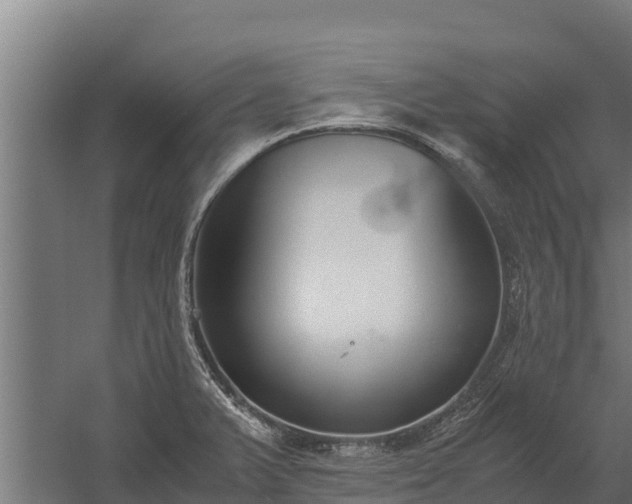 X0000060231375200511041219