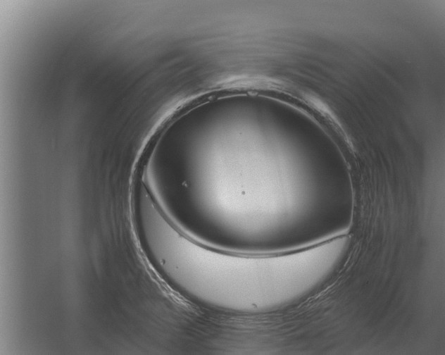 X0000060231376200511041219