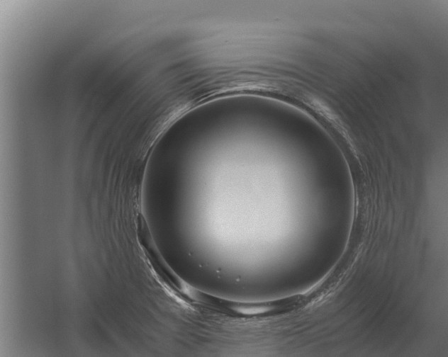 X0000060231377200511041219