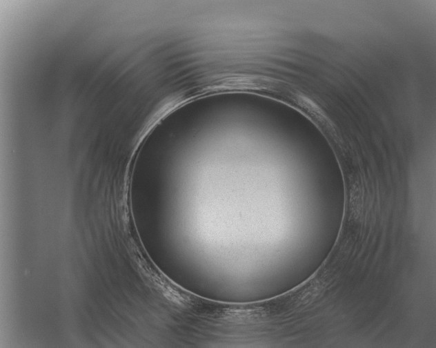 X0000060231378200511041219