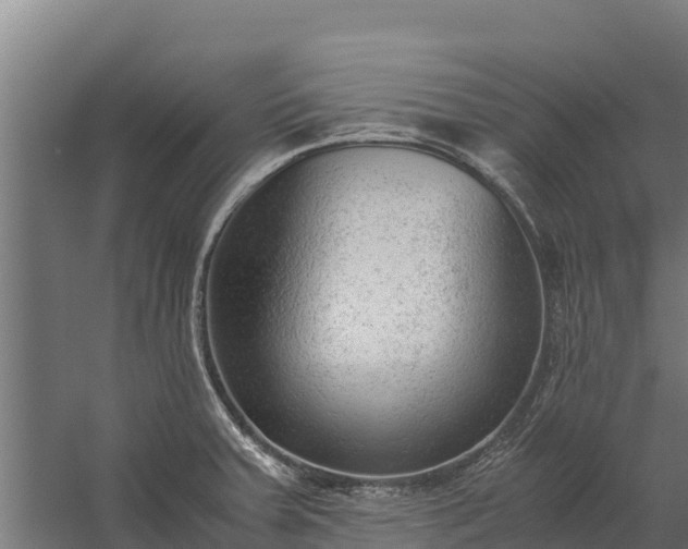 X0000060231379200511041219