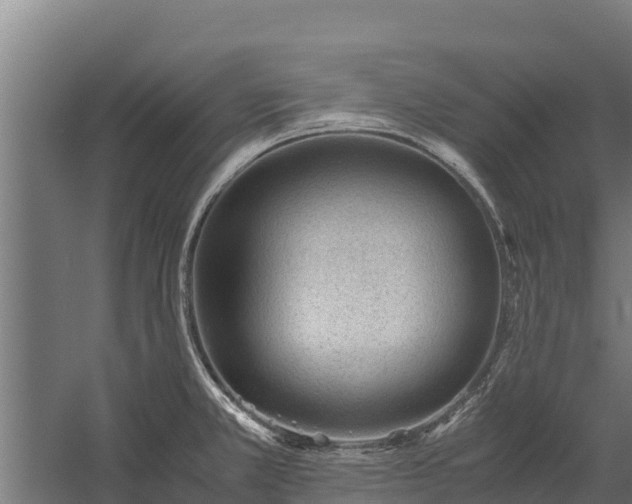 X0000060231381200511041219