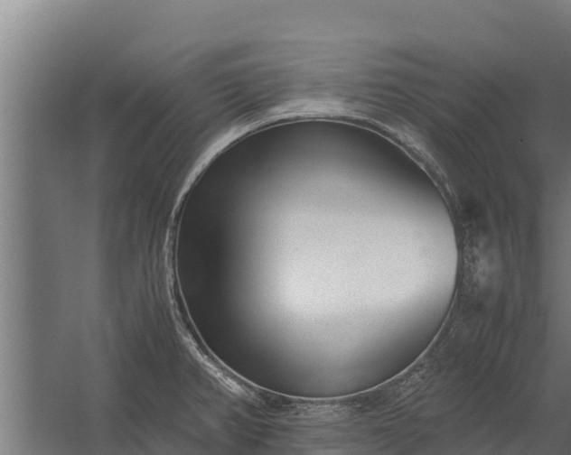 X0000060231382200511041219