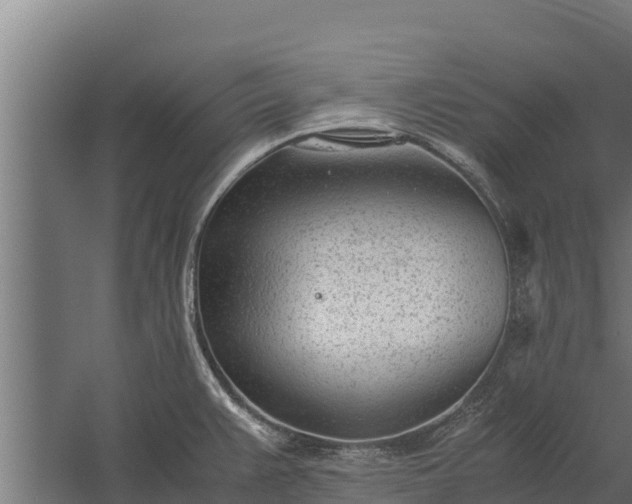 X0000060231383200511041219