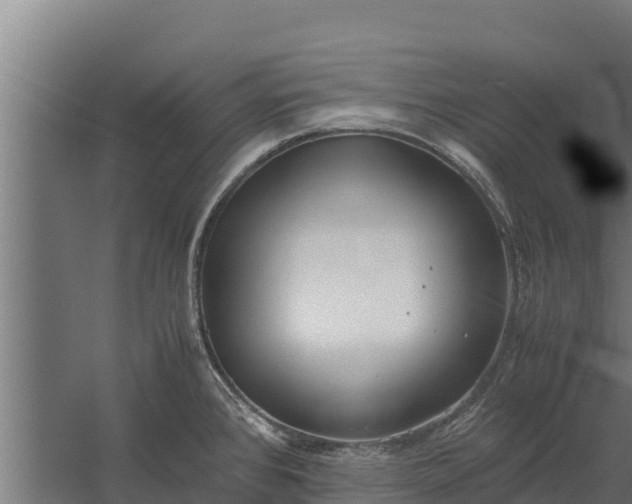 X0000060231384200511041219