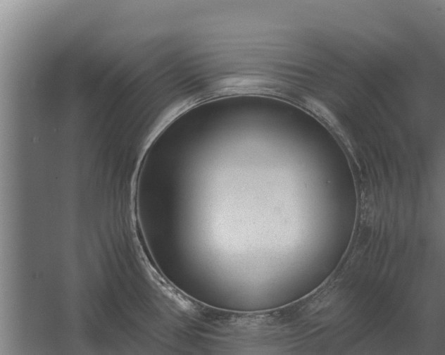 X0000060231386200511041219