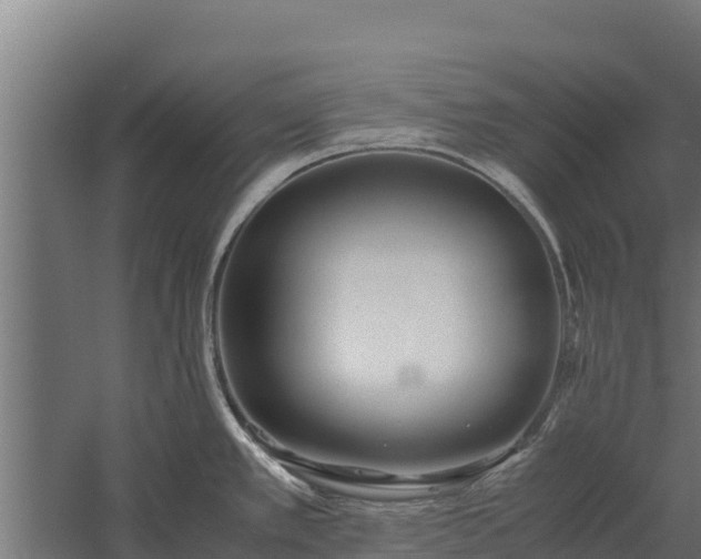 X0000060231389200511041219