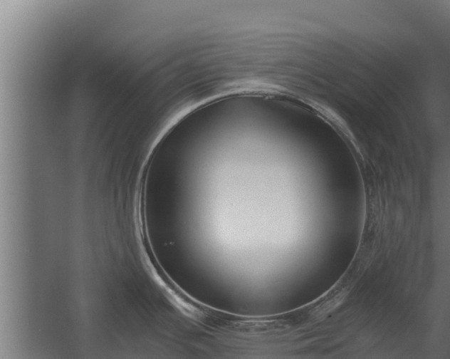 X0000060231391200511041219