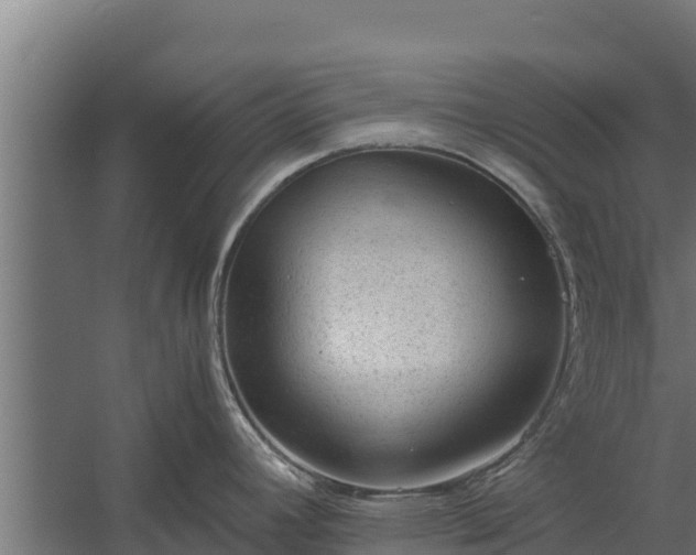 X0000060231392200511041219