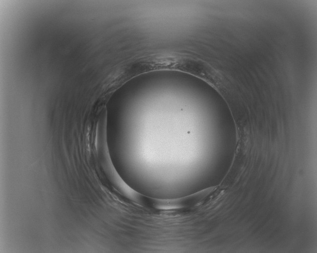 X0000060231394200511041218