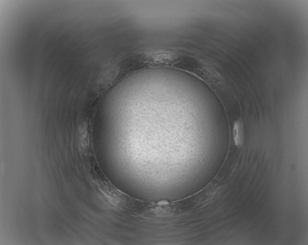 X0000060231395200511041218