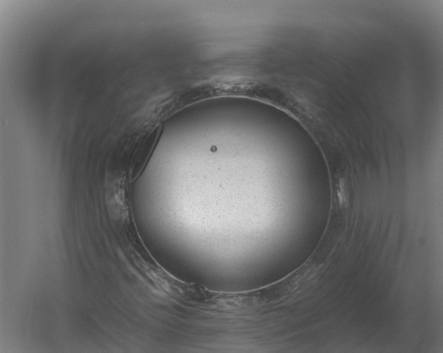 X0000060231396200511041218