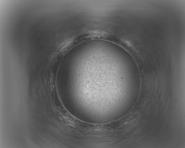 X0000060231399200511041218