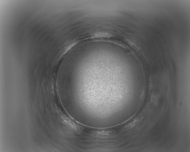 X0000060231401200511041218