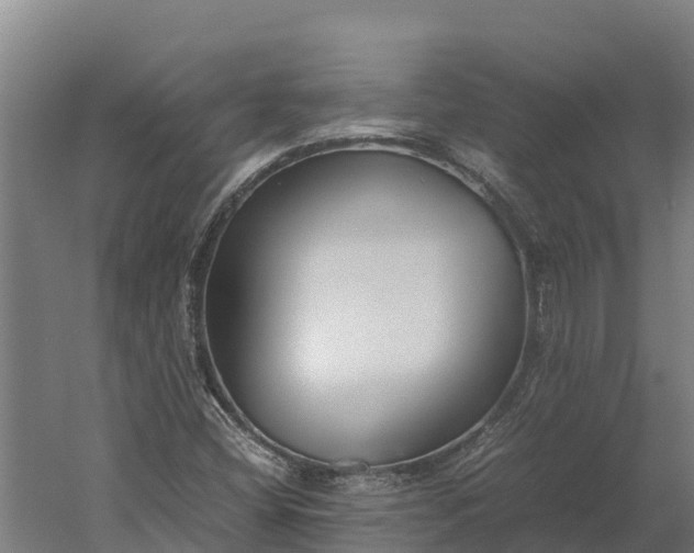 X0000060231404200511041218