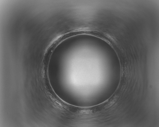 X0000060231406200511041218