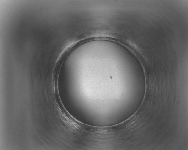 X0000060231408200511041219