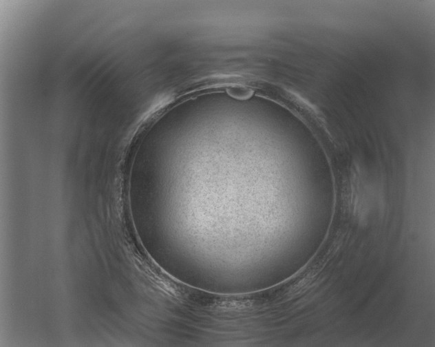 X0000060231411200511041219