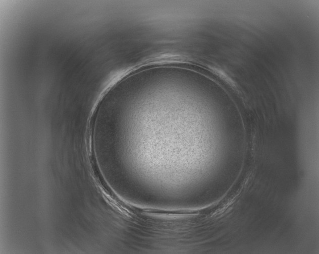 X0000060231413200511041219