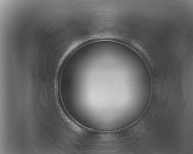 X0000060231416200511041219