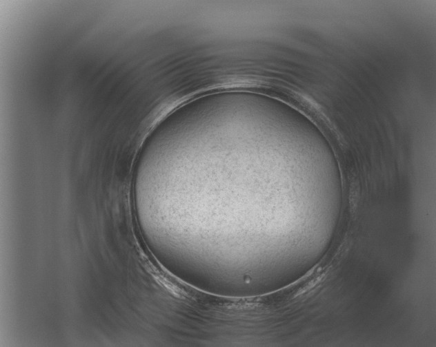 X0000060231417200511041219