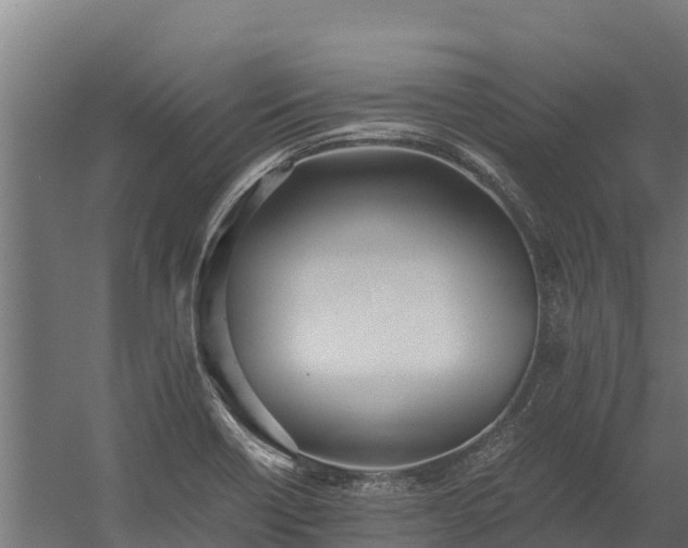 X0000060231418200511041219