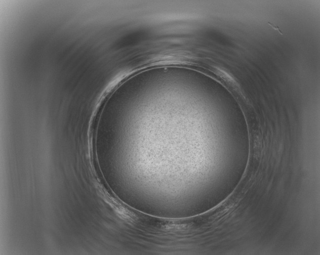 X0000060231419200511041219