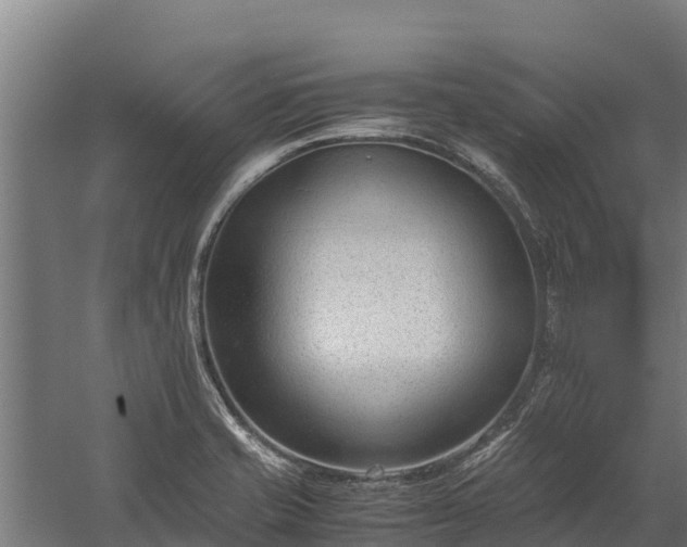 X0000060231421200511041219