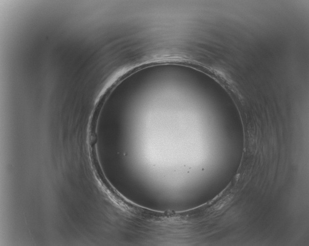 X0000060231422200511041219