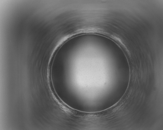 X0000060231424200511041219