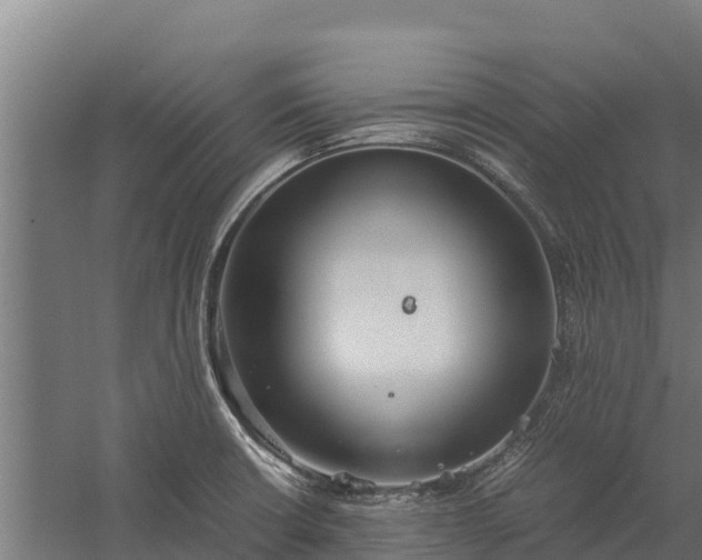 X0000060231426200511041219