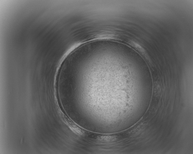 X0000060231427200511041219