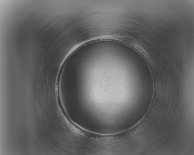 X0000060231428200511041219